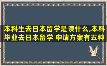 本科生去日本留学是读什么,本科毕业去日本留学 申请方案有五种